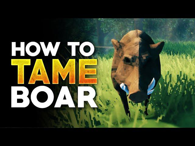 Valheim How To Tame Boar and Farm Them (Valheim Tips)