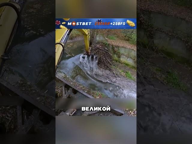 Спасение села от бобрового наводнения🪵