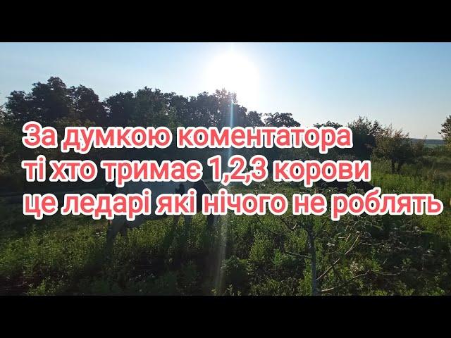 ‼️ відповідь на коментар‼️а ви вірите що самому можна тримати 15 корів ⁉️