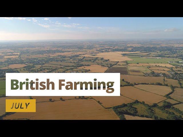 British Farming | 12 Months On A UK Farm: July