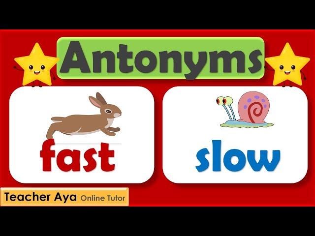 Antonyms | Opposite meaning |Learn the antonyms | Examples of antonyms | Lesson with quiz