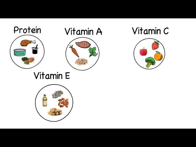 Your Immune System and You | Microlesson