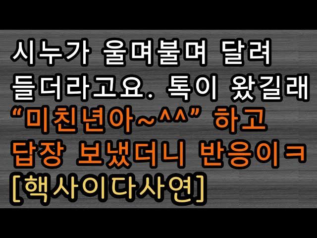 [사이다사연] 시누에게 톡으로 욕했어요. 사이다썰 미즈넷사연 응징사연 반전사연 참교육사연 라디오사연 핵사이다사연 레전드사연