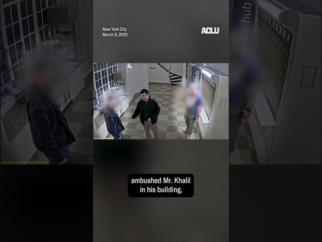The Trump Administration Lied About Mahmoud Khalil's Arrest | ACLU #shorts