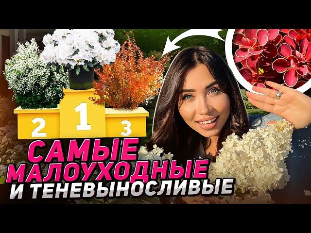 12 ТЕНЕВЫНОСЛИВЫХ кустарников, которые вырастут даже у НАЧИНАЮЩИХ
