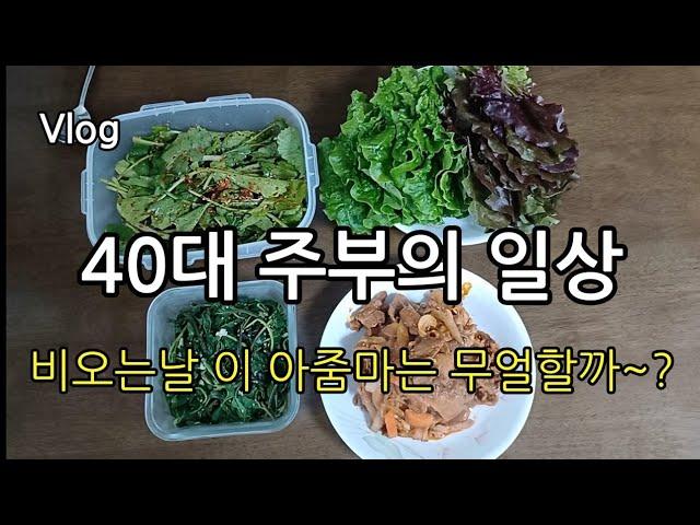 40대 주부의 소소한 일상 브이로그/비오는날 집구석에서의 일상