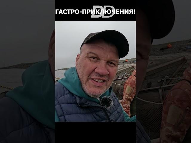 КАК РЫБАКИ ЕДЯТ ИКРУ!!! #shorts