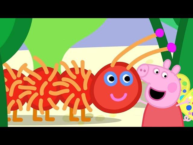 Peppa Learns About Nature!  | @PeppaPigOfficial