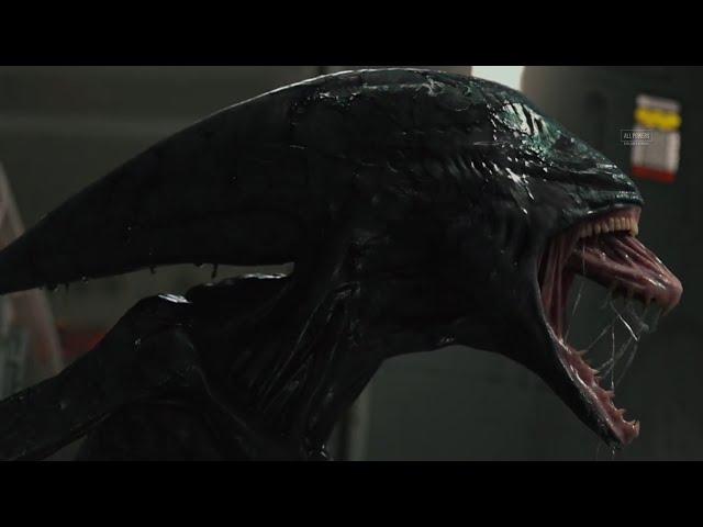 Alien (Xenomorph)- All Powers from the films