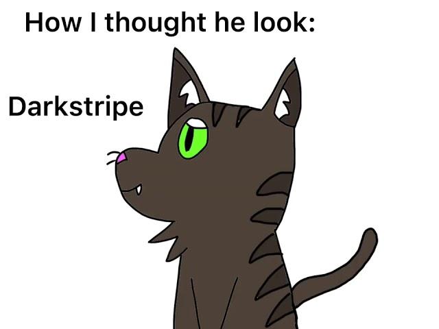 What I thought warrior cats looked like