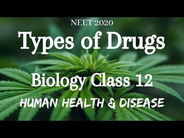 Types of Drugs | Biology Class 12 | Human Health & Diseases | NEET Biology