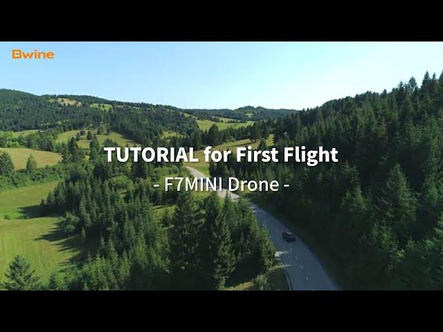 F7MINI Tutorial for First Flight