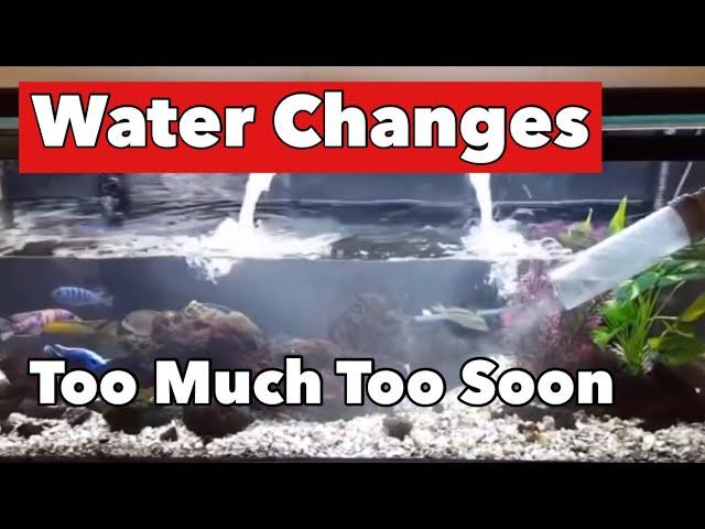 3 Tips for New Tank Water Changes [Don't Make this Common Fatal Mistake - Watch This!]