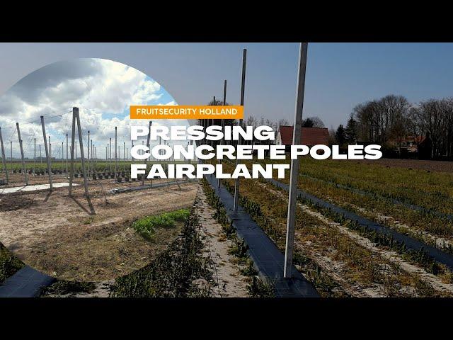 Prestressed Concrete Poles type Spinazzé Installation by Fairplant- FRUITSECURITY HOLLAND