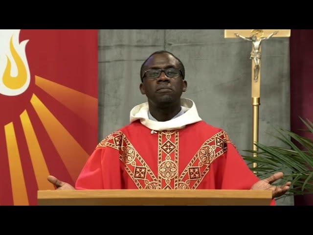 Catholic Mass Today | Daily TV Mass, Tuesday November 12, 2024