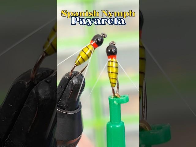 Fly tying Spanish Nymph "Payareta" . #montajedemoscas #montajedeninfas #atadodemoscas