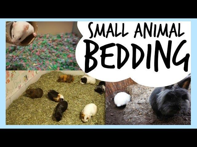 Bedding For Small Pets