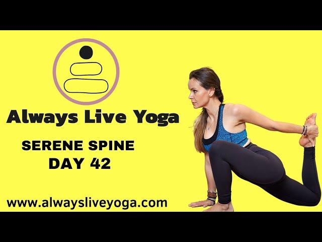 Online Yoga Classes I Always Live Yoga Online Interactive Yoga Classes