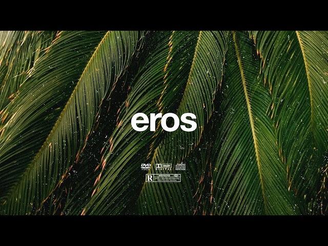 (FREE) | "Eros" | B Young x Tems x Tiwa Savage Type Beat | Free Beat | Afrobeat Instrumental 2024