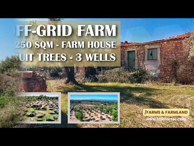  Off Grid Farm - [Farmhouse & Renovation Potential] | 9250 m² - Central Portugal | Sold