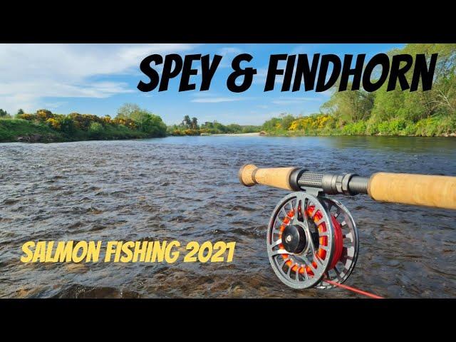 SALMON FISHING | The Rivers Spey & Findhorn | Scotland - 2021