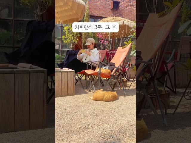 [2탄] 커피단식 3주가 지나면? #1인사업 #어썸메이킷 #커피단식