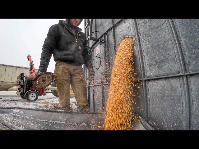 Vacuuming Grain from the Silo