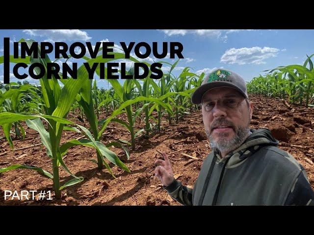 Reaching 300 Bushels of Corn, Part 1