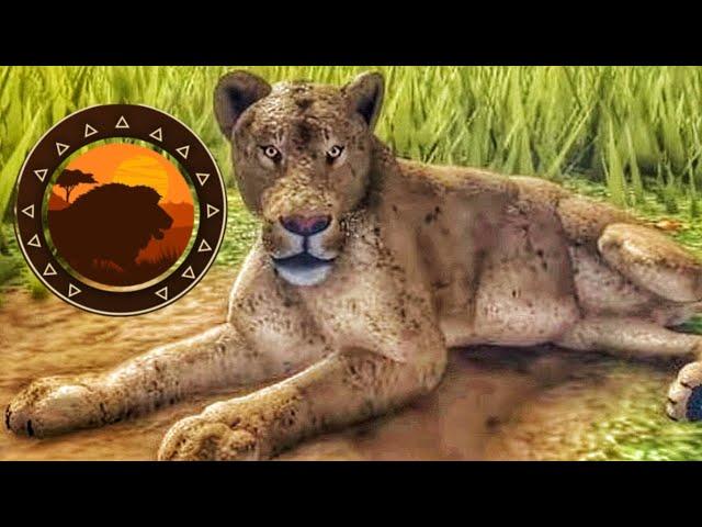 NEW RECODE UPDATE LION ANIMATIONS! | Wild Savannah Roblox