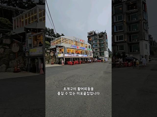 해운대오션뷰 조개구이 활어횟집 미포끝집