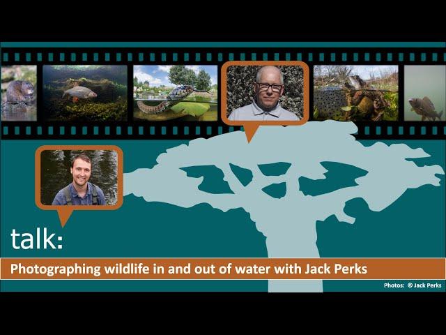 talk: Photographing wildlife in and out of water with Jack Perks