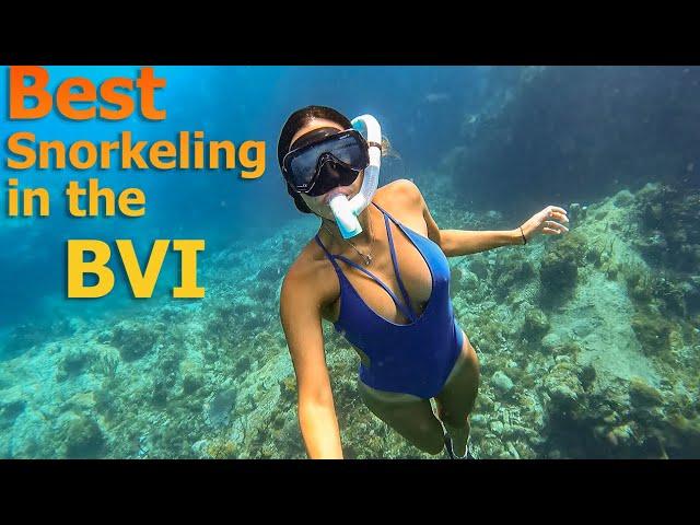 Best Snorkeling in the BVI - S7:E34