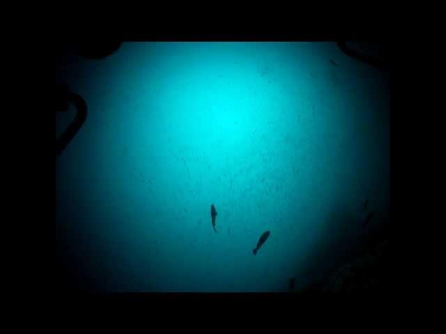 Submarine ride to 100 meters (330 feet) - Undersea Hunter's DeepSee Cocos Island, Costa Rica