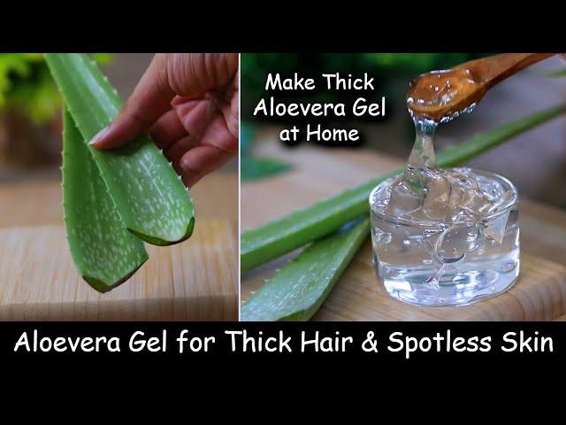 Homemade Aloevera Gel | for Thick Hair Growth & Spotless Skin - Make Aloevera Gel at Home from Leaf