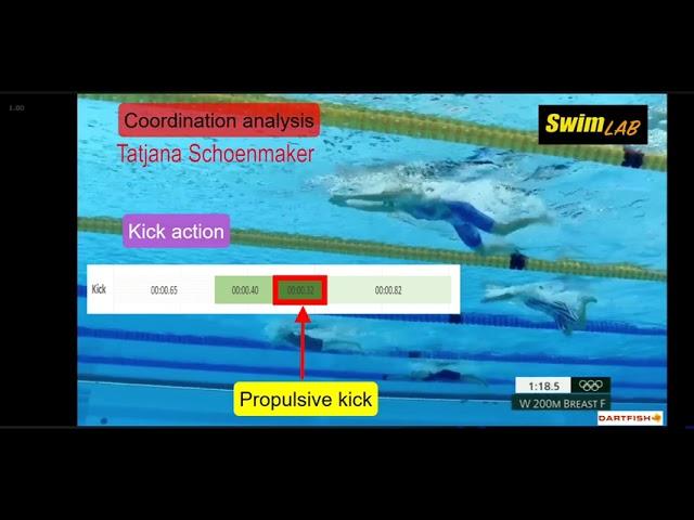 Schoenmaker coordination analysis 4 Inst