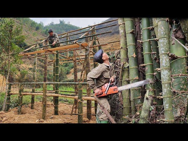 Build the newest bamboo house in 2025: Building a house with giant bamboo trees (Part 1)