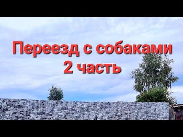 Переезд с собаками 2 часть