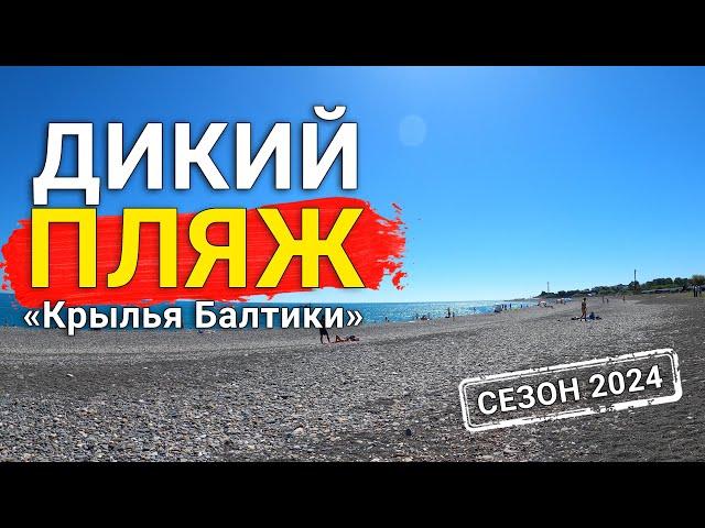 ДИКИЙ пляж КРЫЛЬЯ БАЛТИКИ/Сириус/Температура воды