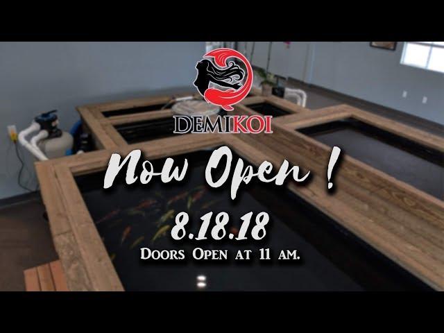 Demi Koi soft opens on 8.18.2018