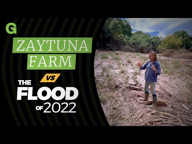 Zaytuna Farm Vs the Flood of 2022