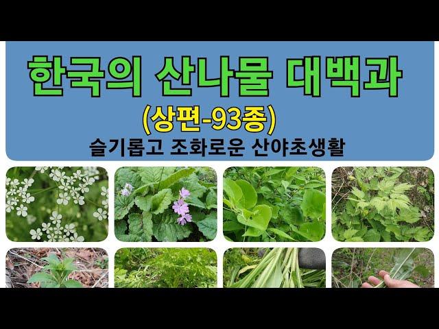 #한국의 산나물 대백과(상편-93종) 슬기롭고 조화로운 산야초생활을 지향합니다!(20220511)