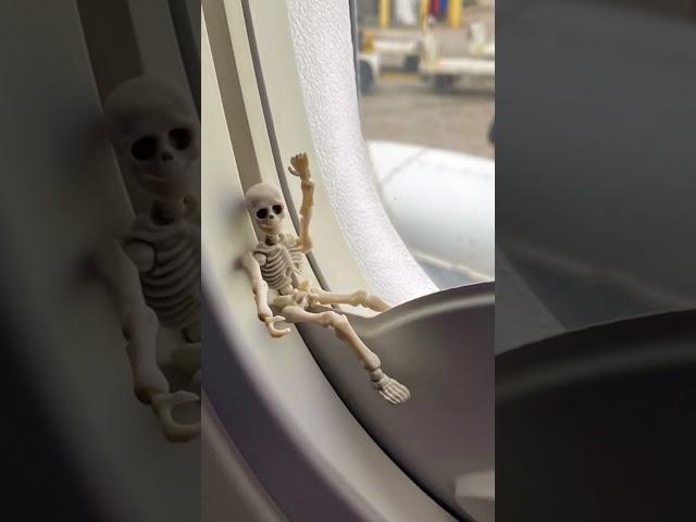 Mr.Bones goes on vacation. I’m so jealous. #skeleton #stowaway #vacation