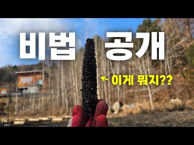 저는 이걸로 겨울 준비 끝냈습니다. 0원으로 천연착화제 만드는 방법 전격 공개!