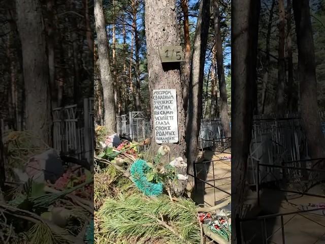 Каждый год одно и тоже.В прошлом году звонила, и служба все убрала. В этом все повторилось #кладбище