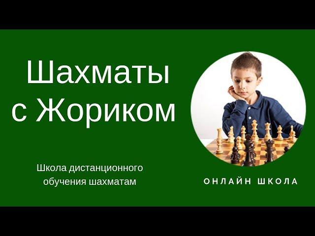 Шахматы с Жориком Школа обучения шахматам