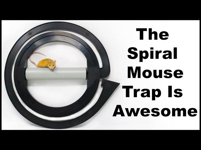 The Spiral Mouse Trap Is Awesome. Catchmaster Rolling Spiral Mouse Trap. Mousetrap Monday