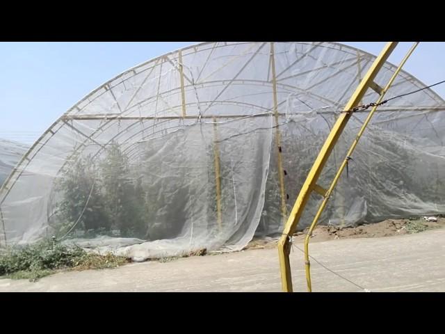 Use of Anti Insect net for vegetables/vegetable production by hand pollination/less use of sprays