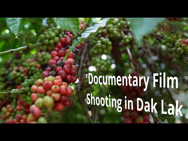 Coffee Vietnam, shooting in Dak Lak, Vietnam. Dop/camera crew, drone Peter Scheid Ho Chi Minh City