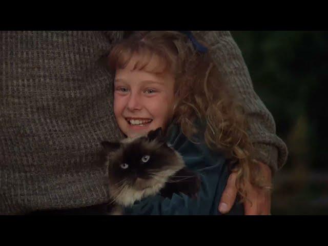 homeward bound: the incredible journey (1993) - ending