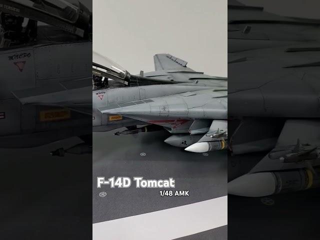 AMK 1/48 F-14D Tomcat